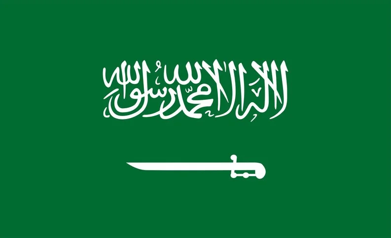 fpdl.in_flag-saudi-arabia-vector-illustration_514344-294_medium.jpg