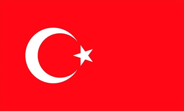 fpdl.in_national-flag-turkey-with-official-colors_445068-1839_normal.jpg